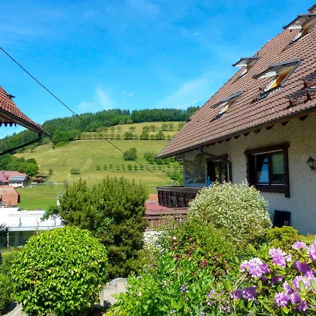 Himmelsbach By Interhome شقة Welschensteinach