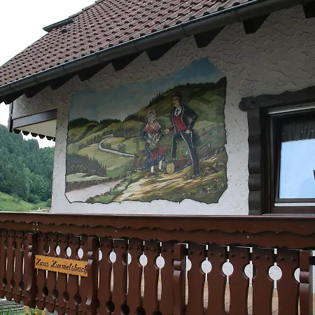 Apartment Himmelsbach By Interhome Welschensteinach