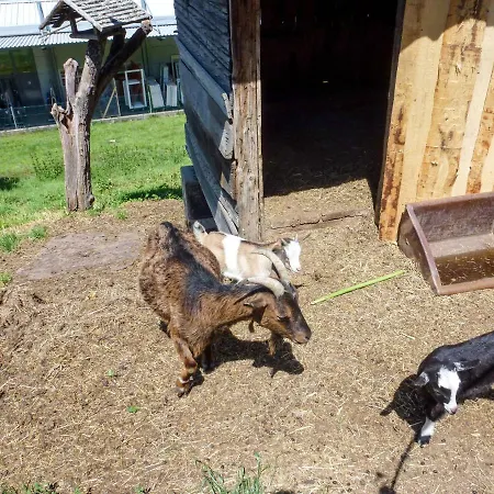 Himmelsbach By Interhome