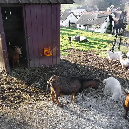 Himmelsbach By Interhome