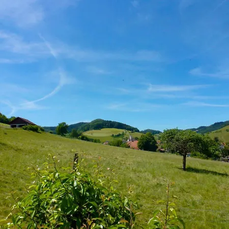 Apartment Himmelsbach By Interhome